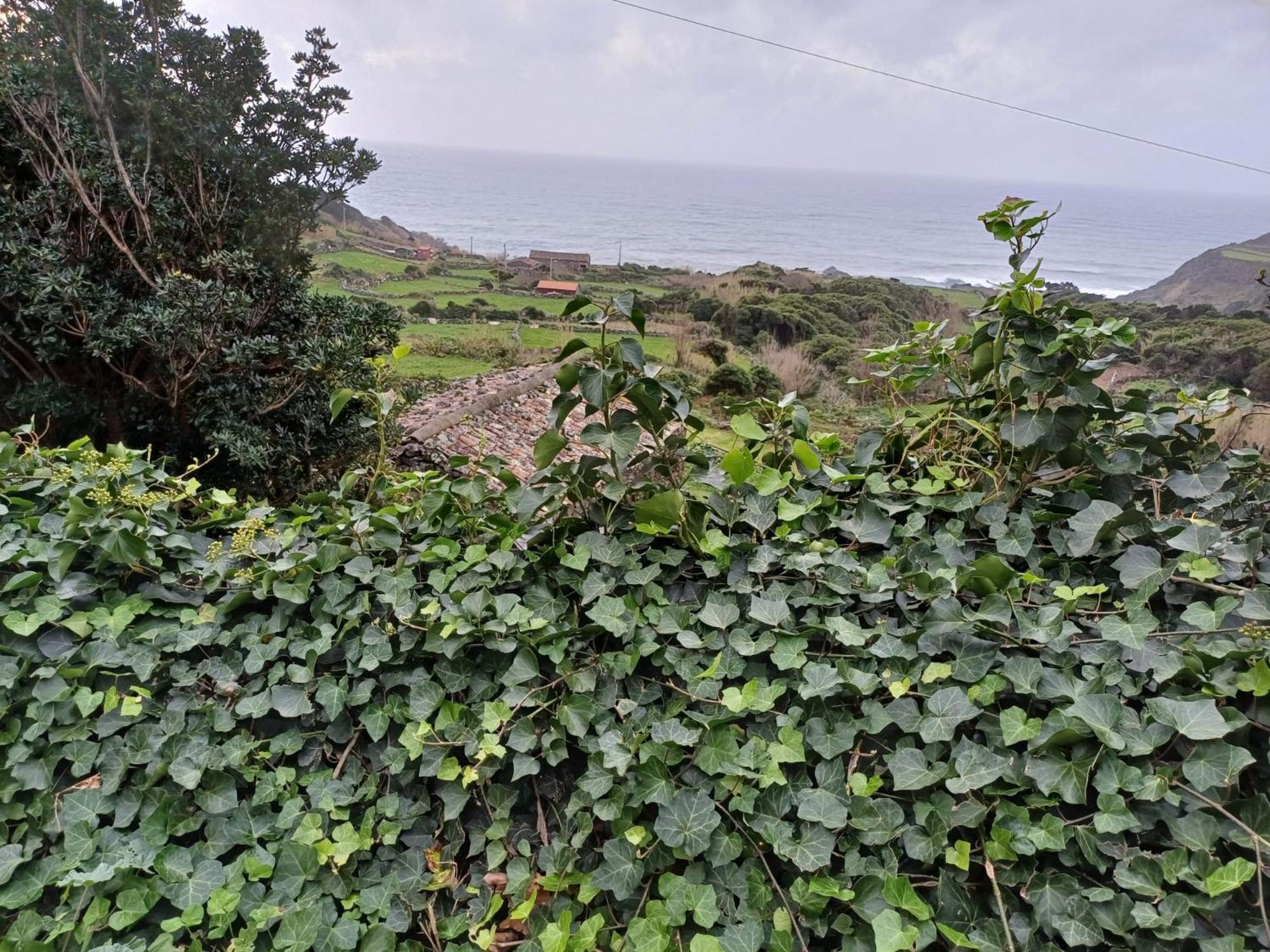 Casa Da Queijaria Villa Faja Grande Luaran gambar
